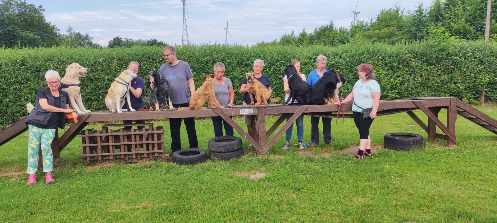 Mitglieder mit ihren Hunden auf dem Vereinsplatz am Nordhornsberg